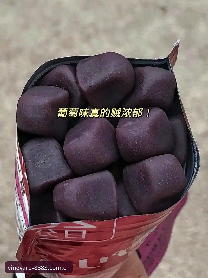 新葡萄体育平台实战评测：葡萄8883手机端下载使用技巧全面拆解