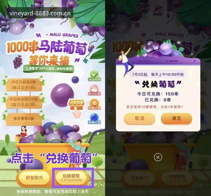 揭秘中国葡萄游戏平台功能详解:从安装到支付的全链路解析